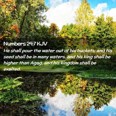 Picture 02 - Numbers 24:7 KJV - He shall pour the water out of his buckets, and - Bible Verse Picture