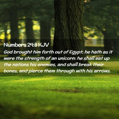 Picture 02 - Numbers 24:8 KJV - God brought him forth out of Egypt; he hath as it - Bible Verse Picture