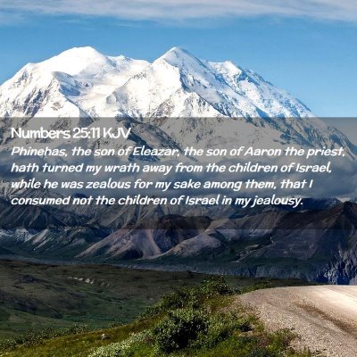 Picture 02 - Numbers 25:11 KJV - Phinehas, the son of Eleazar, the son of Aaron - Bible Verse Picture