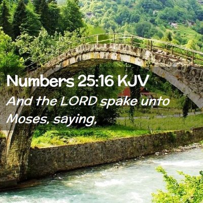 Picture 02 - Numbers 25:16 KJV - And the LORD spake unto Moses, - Bible Verse Picture