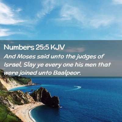 Picture 02 - Numbers 25:5 KJV - And Moses said unto the judges of Israel, Slay ye - Bible Verse Picture