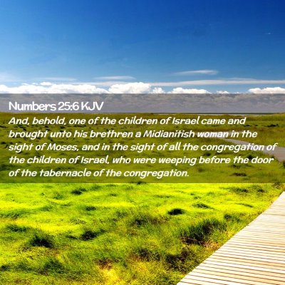 Picture 02 - Numbers 25:6 KJV - And, behold, one of the children of Israel came - Bible Verse Picture