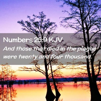 Picture 02 - Numbers 25:9 KJV - And those that died in the plague were twenty and - Bible Verse Picture
