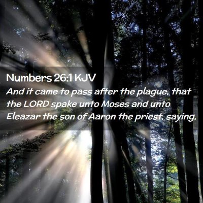 Picture 02 - Numbers 26:1 KJV - And it came to pass after the plague, that the - Bible Verse Picture
