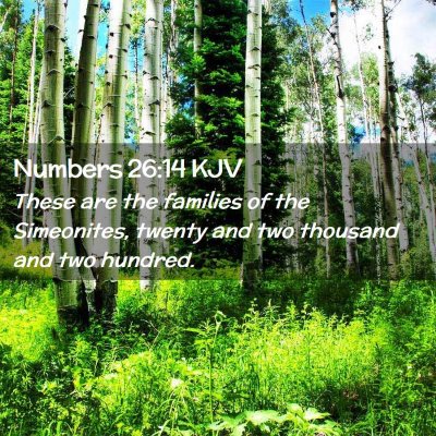 Picture 02 - Numbers 26:14 KJV - These are the families of the Simeonites, twenty - Bible Verse Picture