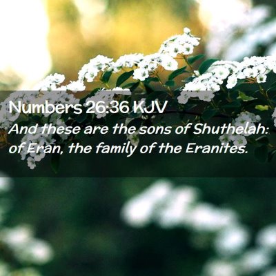 Picture 02 - Numbers 26:36 KJV - And these are the sons of Shuthelah: of Eran, the - Bible Verse Picture