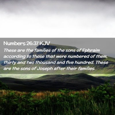 Picture 02 - Numbers 26:37 KJV - These are the families of the sons of Ephraim - Bible Verse Picture