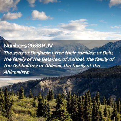 Picture 02 - Numbers 26:38 KJV - The sons of Benjamin after their families: of - Bible Verse Picture