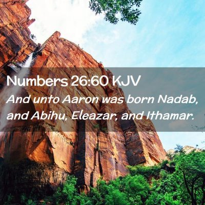 Picture 02 - Numbers 26:60 KJV - And unto Aaron was born Nadab, and Abihu, - Bible Verse Picture