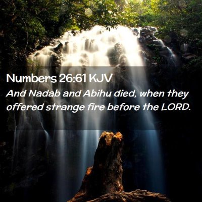 Picture 02 - Numbers 26:61 KJV - And Nadab and Abihu died, when they offered - Bible Verse Picture
