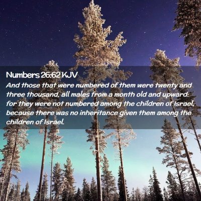 Picture 02 - Numbers 26:62 KJV - And those that were numbered of them were twenty - Bible Verse Picture