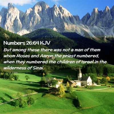 Picture 02 - Numbers 26:64 KJV - But among these there was not a man of them whom - Bible Verse Picture