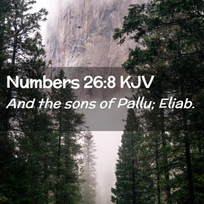 Picture 02 - Numbers 26:8 KJV - And the sons of Pallu; - Bible Verse Picture
