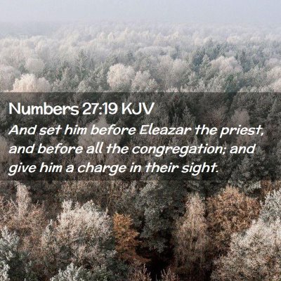 Picture 02 - Numbers 27:19 KJV - And set him before Eleazar the priest, and before - Bible Verse Picture