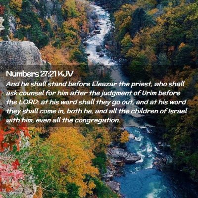 Picture 02 - Numbers 27:21 KJV - And he shall stand before Eleazar the priest, who - Bible Verse Picture