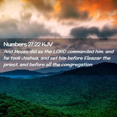 Picture 02 - Numbers 27:22 KJV - And Moses did as the LORD commanded him: and he - Bible Verse Picture