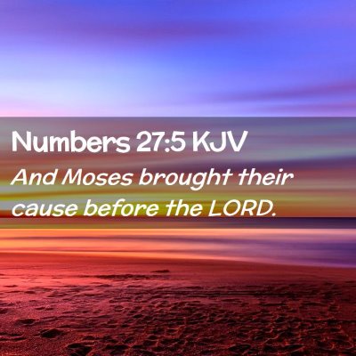 Picture 02 - Numbers 27:5 KJV - And Moses brought their cause before the - Bible Verse Picture