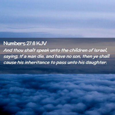 Picture 02 - Numbers 27:8 KJV - And thou shalt speak unto the children of Israel, - Bible Verse Picture