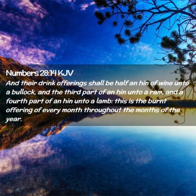 Picture 02 - Numbers 28:14 KJV - And their drink offerings shall be half an hin of - Bible Verse Picture