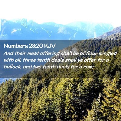 Picture 02 - Numbers 28:20 KJV - And their meat offering shall be of flour mingled - Bible Verse Picture