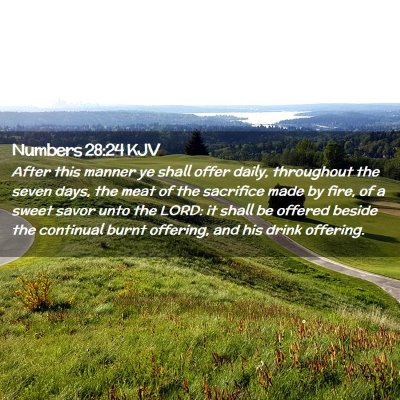 Picture 02 - Numbers 28:24 KJV - After this manner ye shall offer daily, - Bible Verse Picture