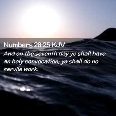 Picture 02 - Numbers 28:25 KJV - And on the seventh day ye shall have an holy - Bible Verse Picture
