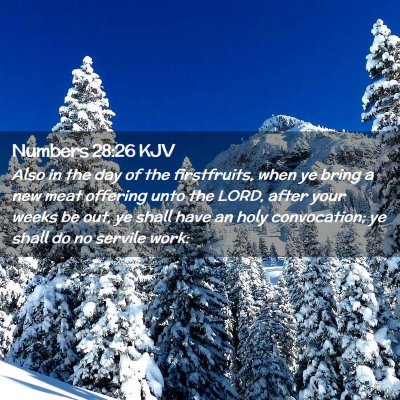 Picture 02 - Numbers 28:26 KJV - Also in the day of the firstfruits, when ye bring - Bible Verse Picture