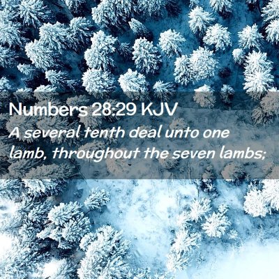 Picture 02 - Numbers 28:29 KJV - A several tenth deal unto one lamb, throughout - Bible Verse Picture