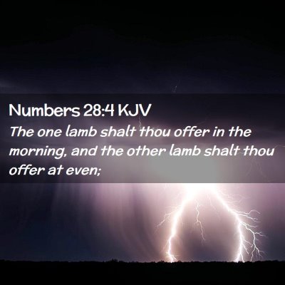 Picture 02 - Numbers 28:4 KJV - The one lamb shalt thou offer in the morning, and - Bible Verse Picture
