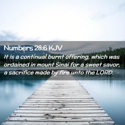 Picture 02 - Numbers 28:6 KJV - It is a continual burnt offering, which was - Bible Verse Picture