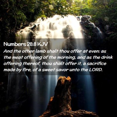 Picture 02 - Numbers 28:8 KJV - And the other lamb shalt thou offer at even: as - Bible Verse Picture