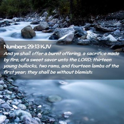 Picture 02 - Numbers 29:13 KJV - And ye shall offer a burnt offering, a sacrifice - Bible Verse Picture
