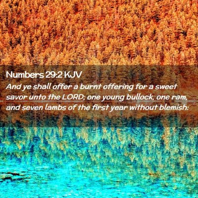 Picture 02 - Numbers 29:2 KJV - And ye shall offer a burnt offering for a sweet - Bible Verse Picture