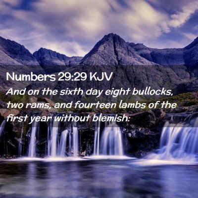 Picture 02 - Numbers 29:29 KJV - And on the sixth day eight bullocks, two rams, - Bible Verse Picture