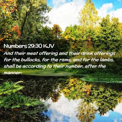 Picture 02 - Numbers 29:30 KJV - And their meat offering and their drink offerings - Bible Verse Picture