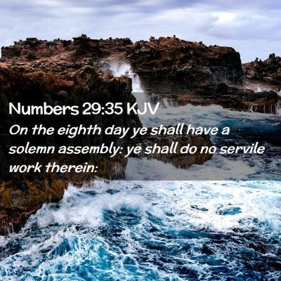 Picture 02 - Numbers 29:35 KJV - On the eighth day ye shall have a solemn - Bible Verse Picture