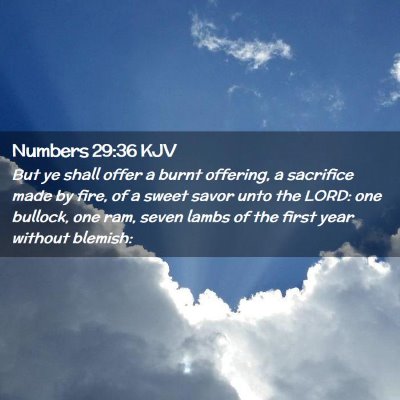 Picture 02 - Numbers 29:36 KJV - But ye shall offer a burnt offering, a sacrifice - Bible Verse Picture