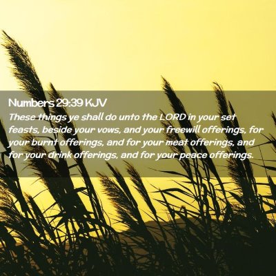 Picture 02 - Numbers 29:39 KJV - These things ye shall do unto the LORD in your - Bible Verse Picture