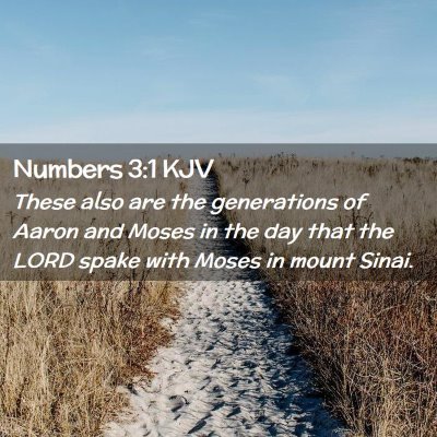 Picture 02 - Numbers 3:1 KJV - These also are the generations of Aaron and Moses - Bible Verse Picture
