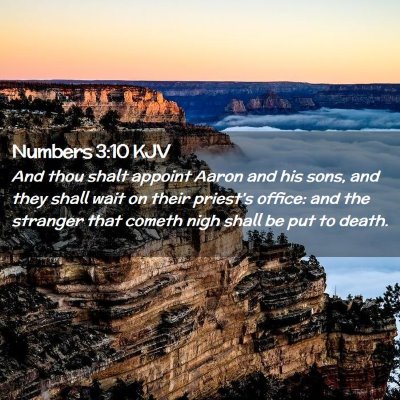 Picture 02 - Numbers 3:10 KJV - And thou shalt appoint Aaron and his sons, and - Bible Verse Picture