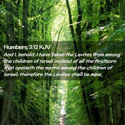 Picture 02 - Numbers 3:12 KJV - And I, behold, I have taken the Levites from - Bible Verse Picture