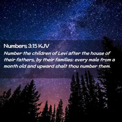 Picture 02 - Numbers 3:15 KJV - Number the children of Levi after the house of - Bible Verse Picture