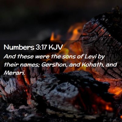 Picture 02 - Numbers 3:17 KJV - And these were the sons of Levi by their names; - Bible Verse Picture