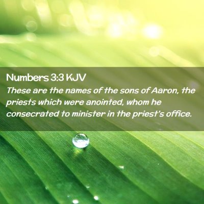 Picture 02 - Numbers 3:3 KJV - These are the names of the sons of Aaron, the - Bible Verse Picture