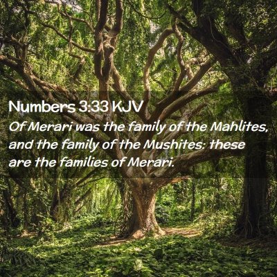 Picture 02 - Numbers 3:33 KJV - Of Merari was the family of the Mahlites, and the - Bible Verse Picture
