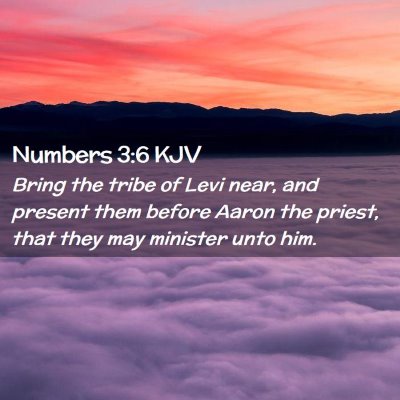 Picture 02 - Numbers 3:6 KJV - Bring the tribe of Levi near, and present them - Bible Verse Picture