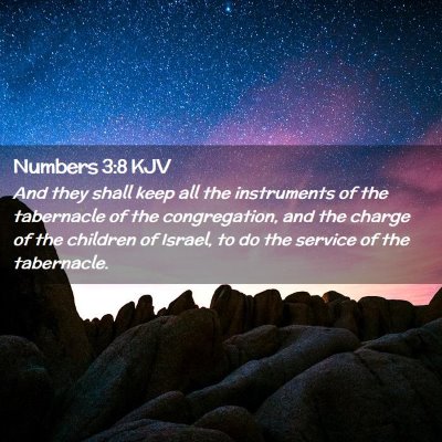 Picture 02 - Numbers 3:8 KJV - And they shall keep all the instruments of the - Bible Verse Picture