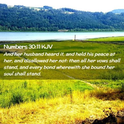 Picture 02 - Numbers 30:11 KJV - And her husband heard it, and held his peace at - Bible Verse Picture