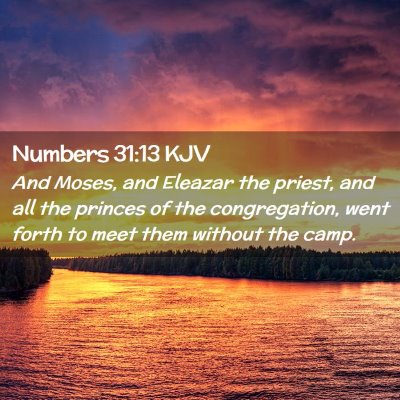 Picture 02 - Numbers 31:13 KJV - And Moses, and Eleazar the priest, and all the - Bible Verse Picture