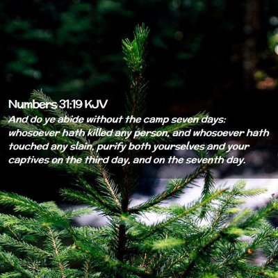 Picture 02 - Numbers 31:19 KJV - And do ye abide without the camp seven days: - Bible Verse Picture